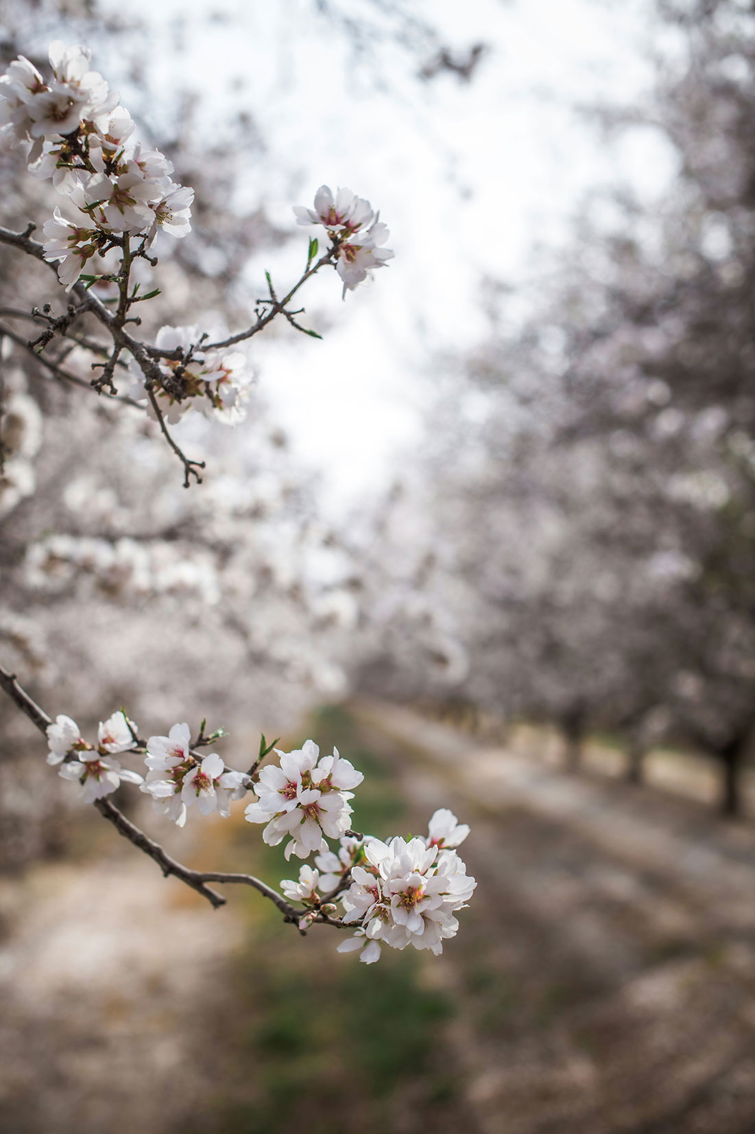 tim-mossholder-1_RU4R4E3uA-unsplash